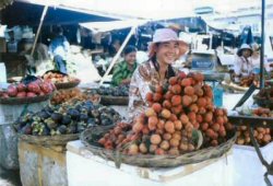 fresh fruits market