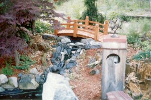 back yard of Steve and Mary Ellen’s appartment
