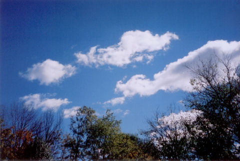 taken while standing in my front yard clouds