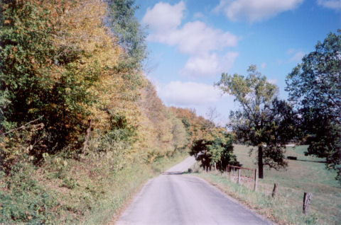 our woods looking towards Lottridge our woods