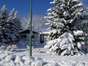 snow