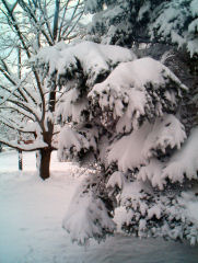 20+ inches of snow in Randallstown, MD