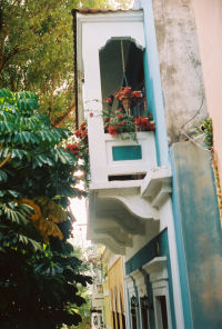 planter in San Juan planter in San Juan
