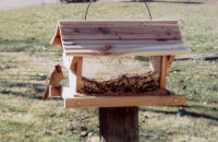 feeder
