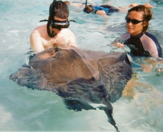Steve and a stingray