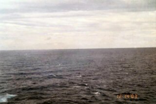 dolphins following our ship