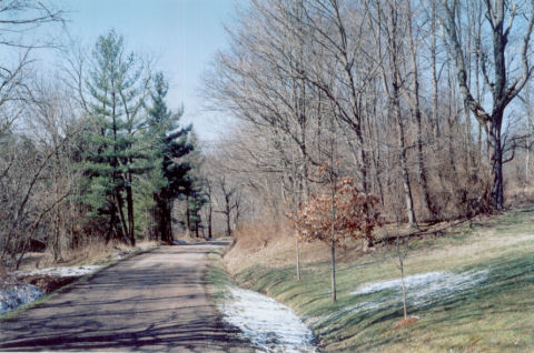 road by side yard