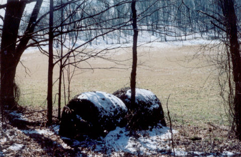 round bales of hay