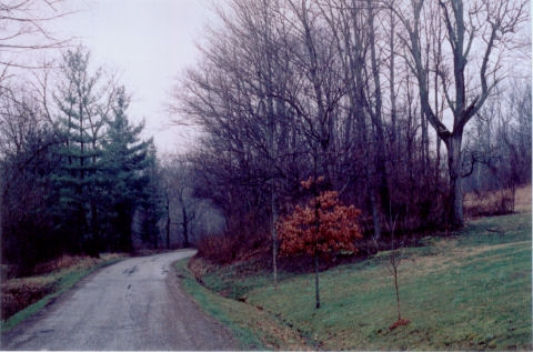 road by side yard