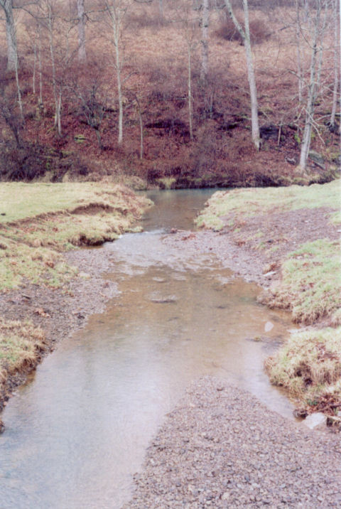 creek