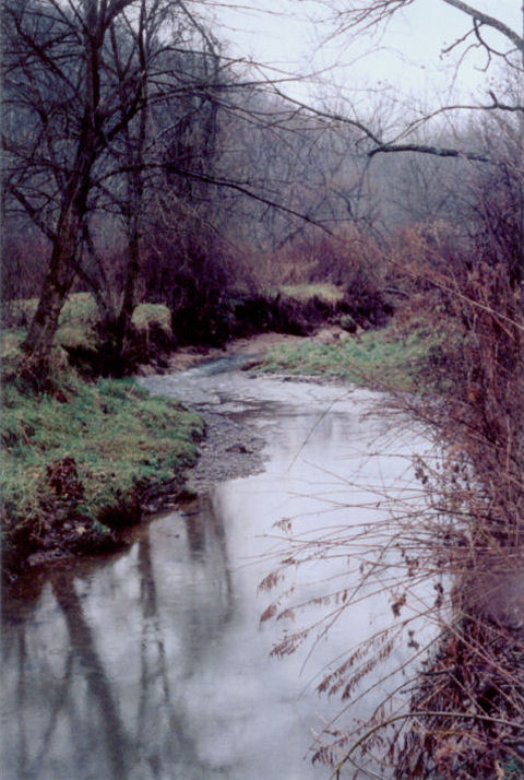 stream